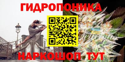 бутират Можга