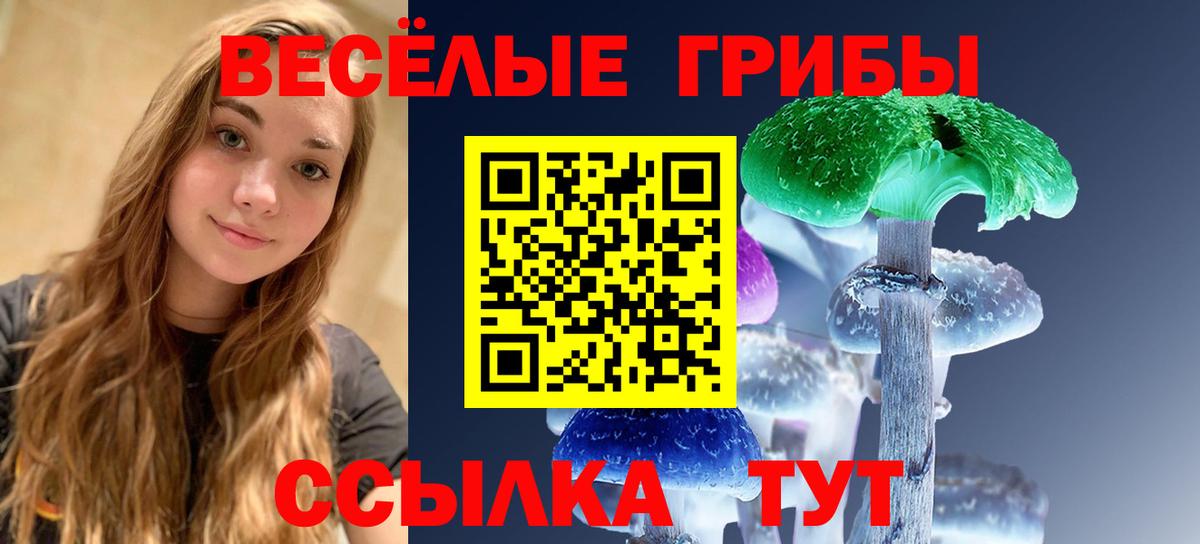 Ухта  Галлюциногенные грибы Psilocybe  Вход с VPN 